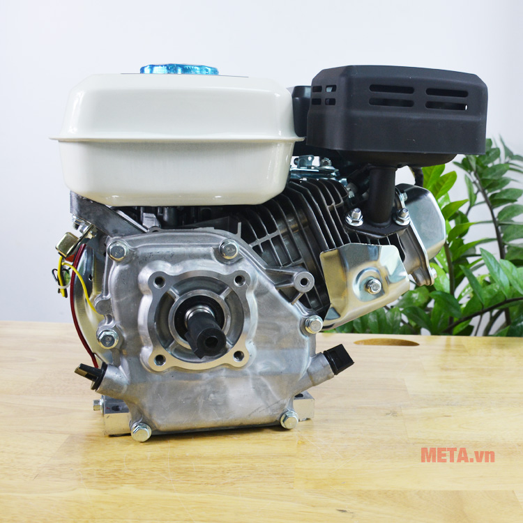 Máy nổ 6.5HP