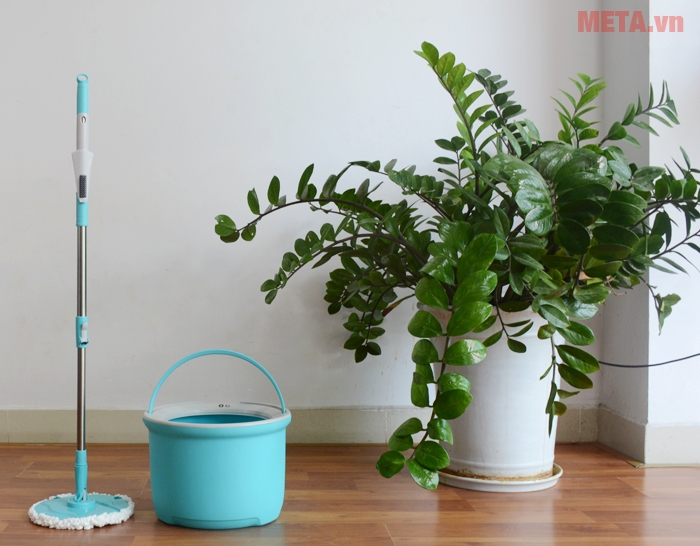 Cây lau nhà đa năng