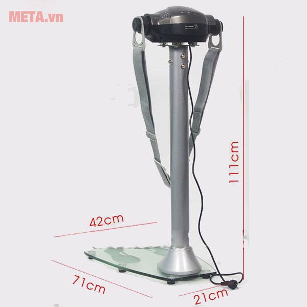 Kích thước của máy rung bụng 