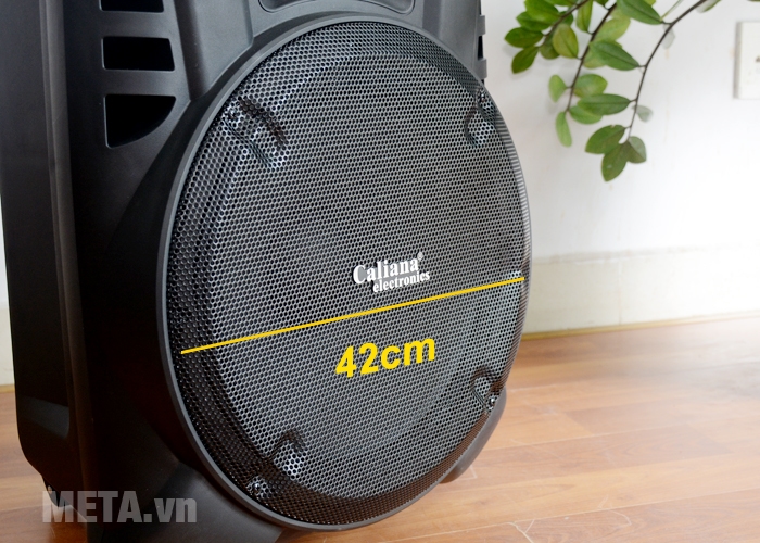 Đường kính màng loa 42cm