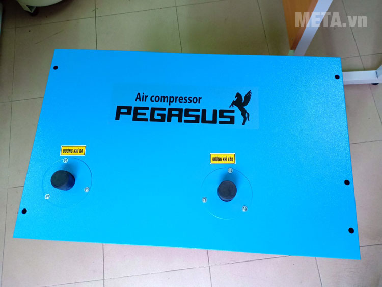 Máy sấy khí Pegasus