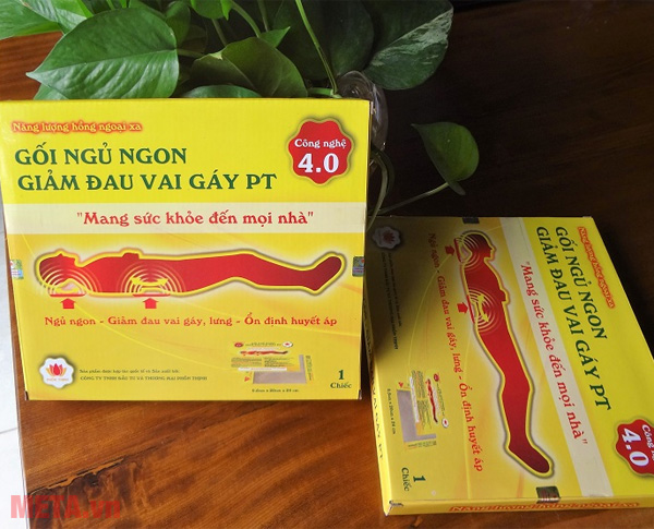Gối ngủ ngon PT