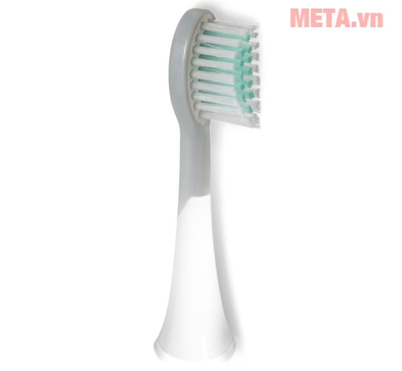 Đầu bàn chải máy tăm nước