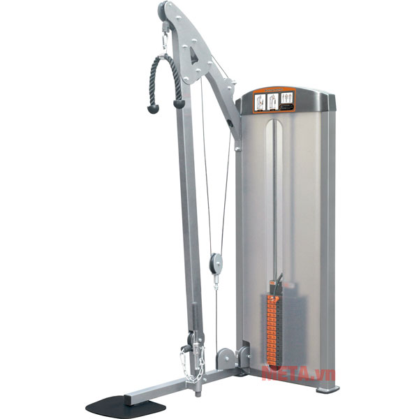 Hình ảnh máy tập bắp tay trước, sau Impulse IF8123