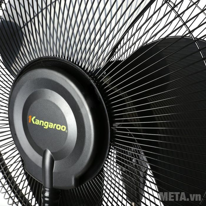 Quạt phun sương có hẹn giờ