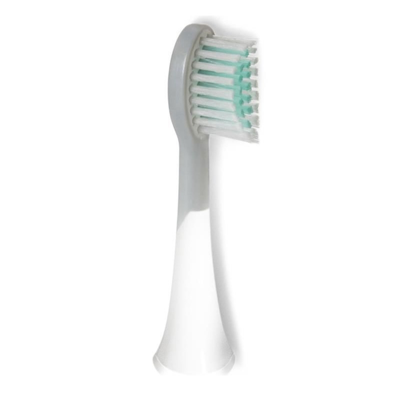 Đầu bàn chải máy tăm nước DCIT