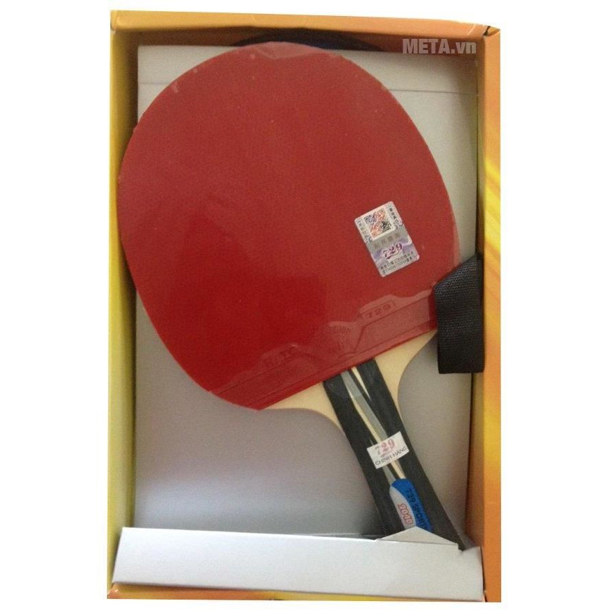 Vợt bóng bàn 729-2040