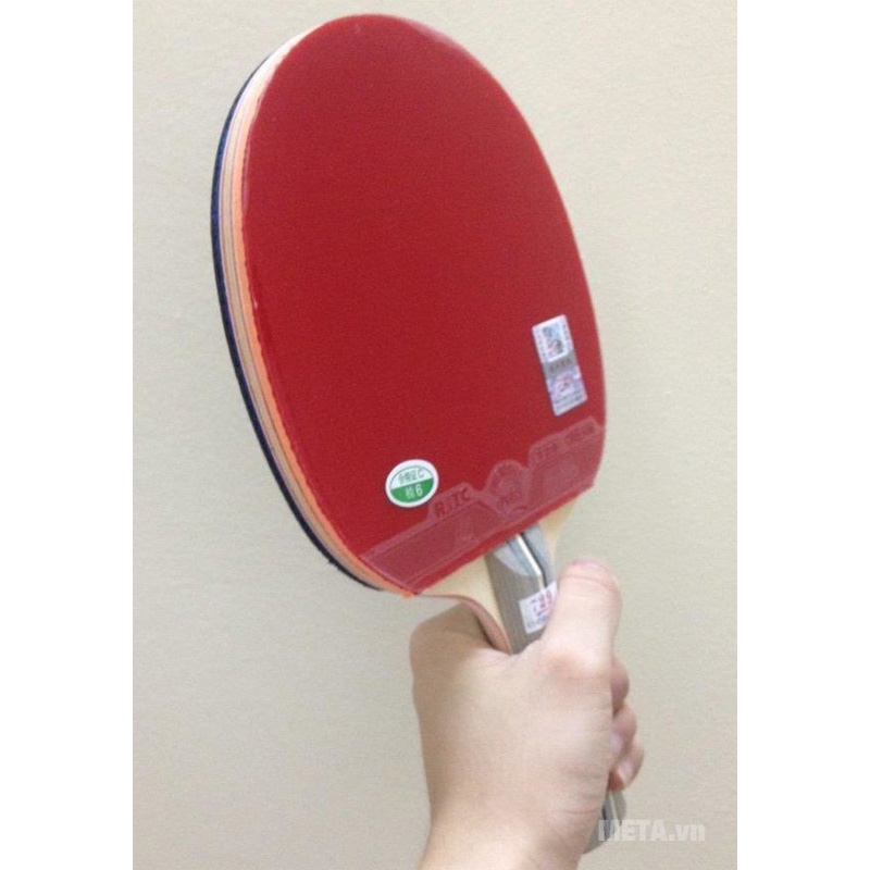 Vợt bóng bàn 729-2060