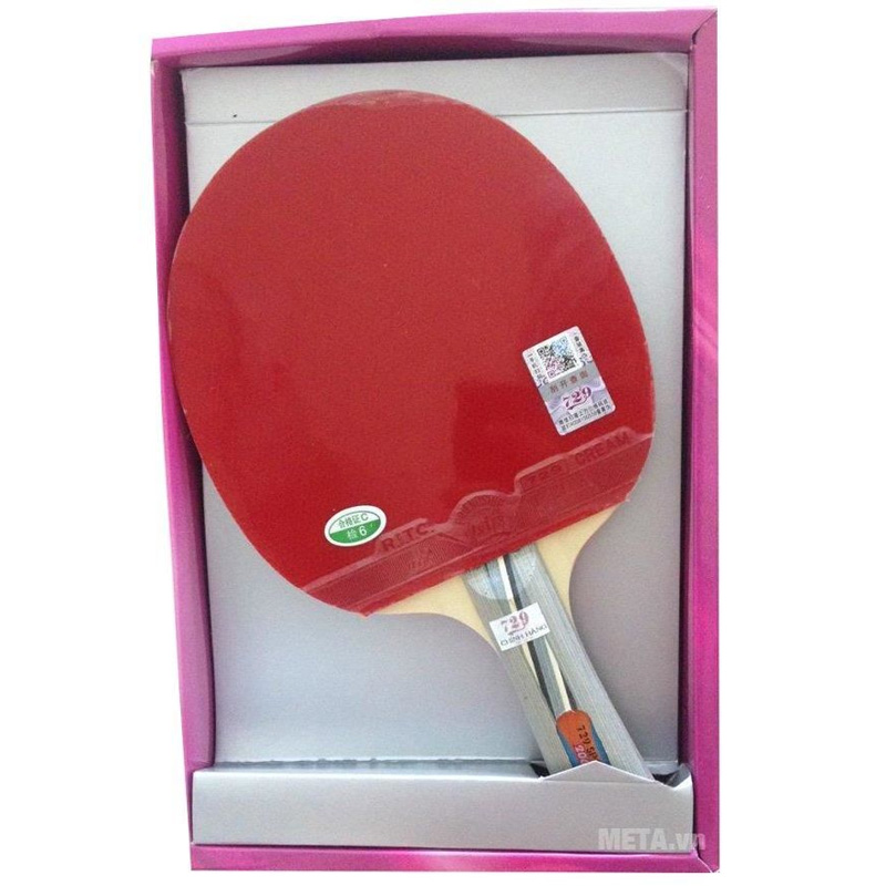 Vợt bóng bàn 729-2060