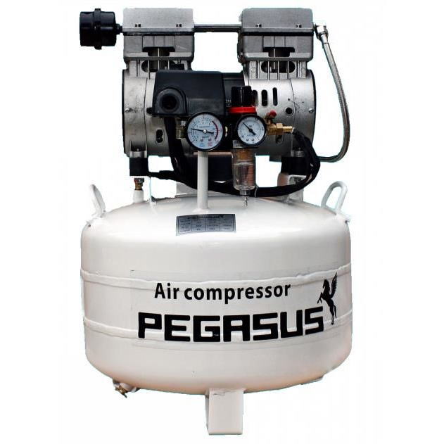 Máy nén khí không dầu Pegasus TM-OF750 (40 lít)