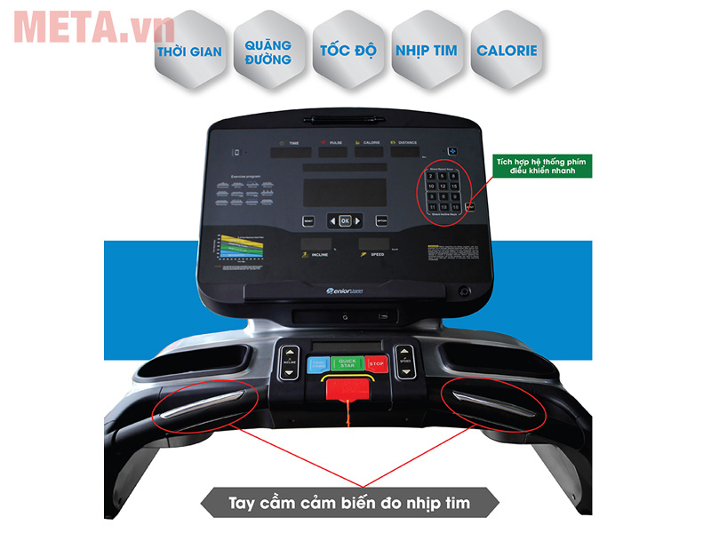 Máy chạy bộ cao cấp Mofit Senior 6900