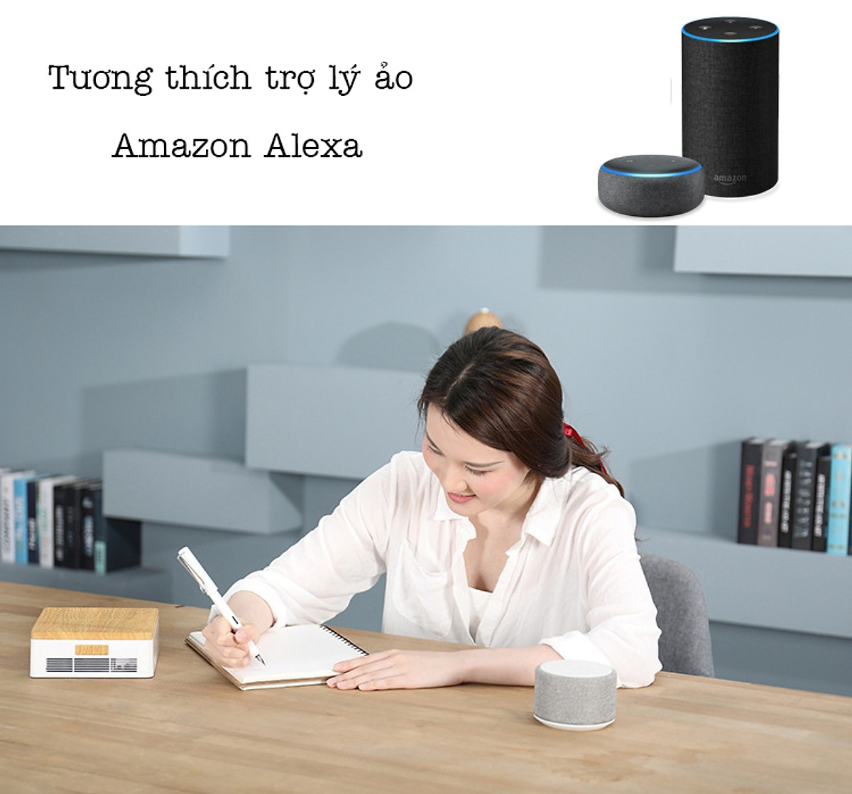 máy lọc không khí ô tô ngọc tuyết