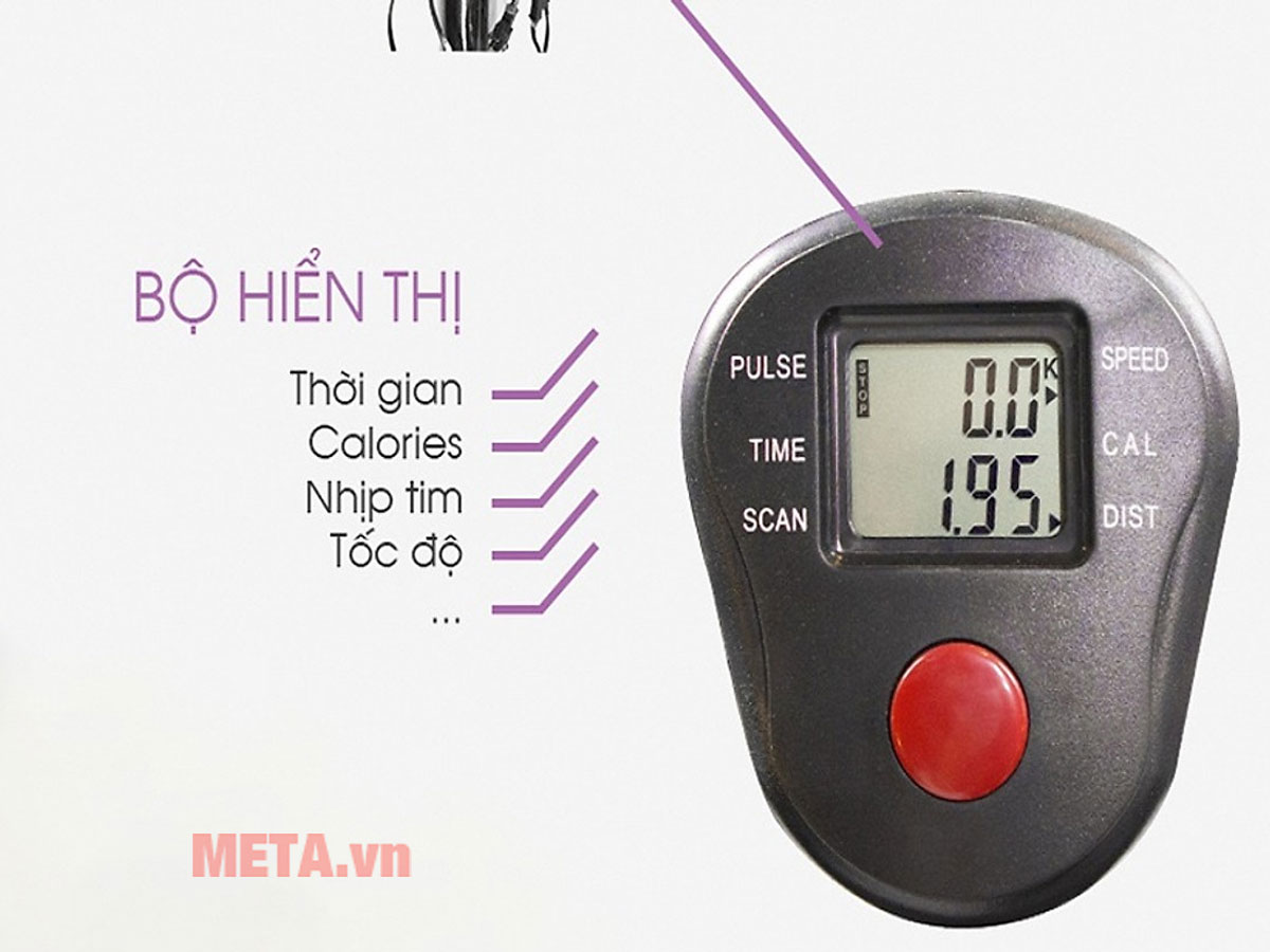 Thiết kế màn hình hiển thị nhịp tim