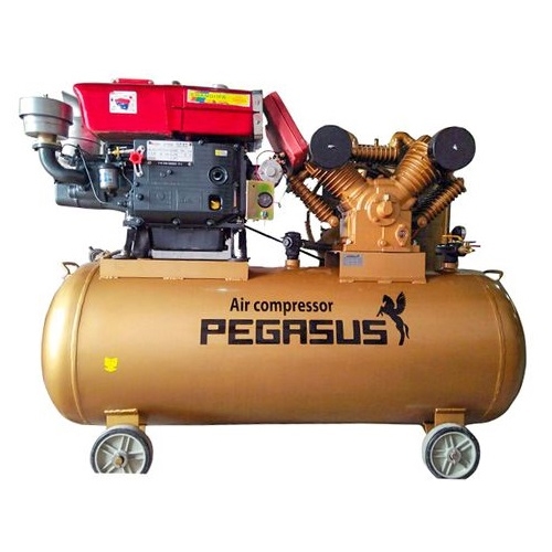 Máy nén khí chạy bằng dầu Diesel Pegasus TM-W-1.6/8-500L