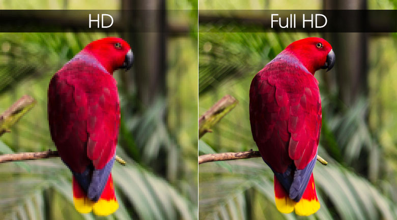 Sony KDL 43W660G có độ phân giải Full HD cho hình ảnh rõ nét