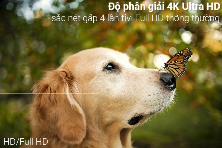 Độ phân giải cao hơn tivi HD gấp 4 lần