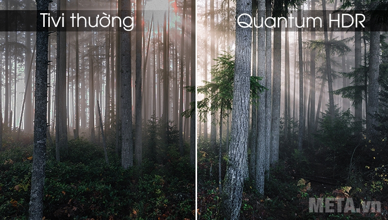 Công nghệ Quantum HDR