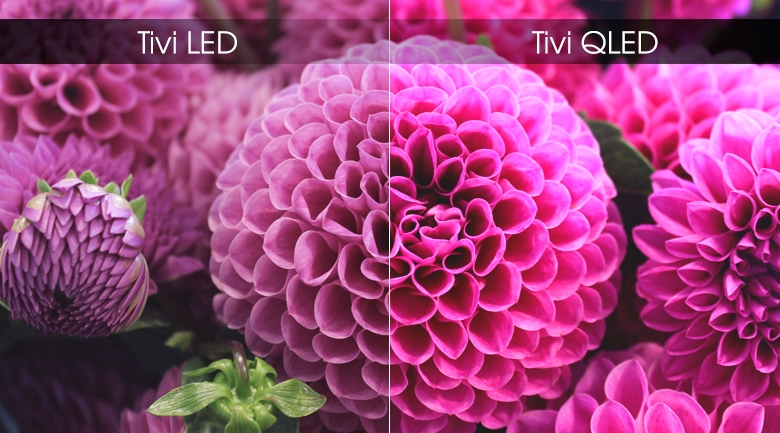 Smart Tivi QLED