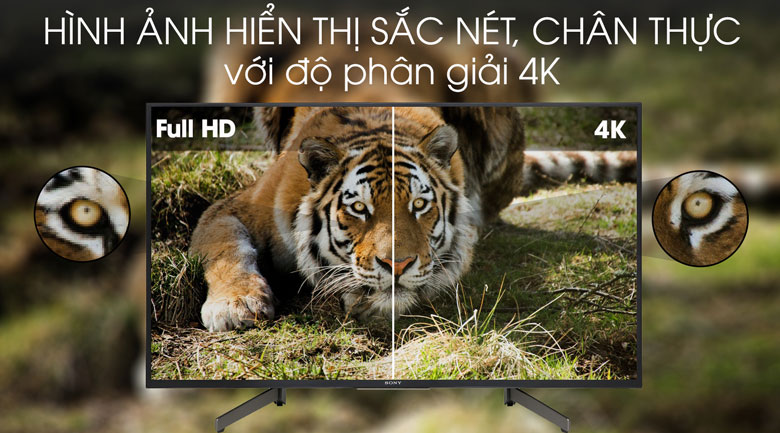 Màu sắc, hình ảnh sẽ được hiện lên sống động nhất