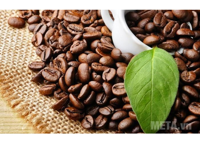 Máy xay cafe Cloer 7589