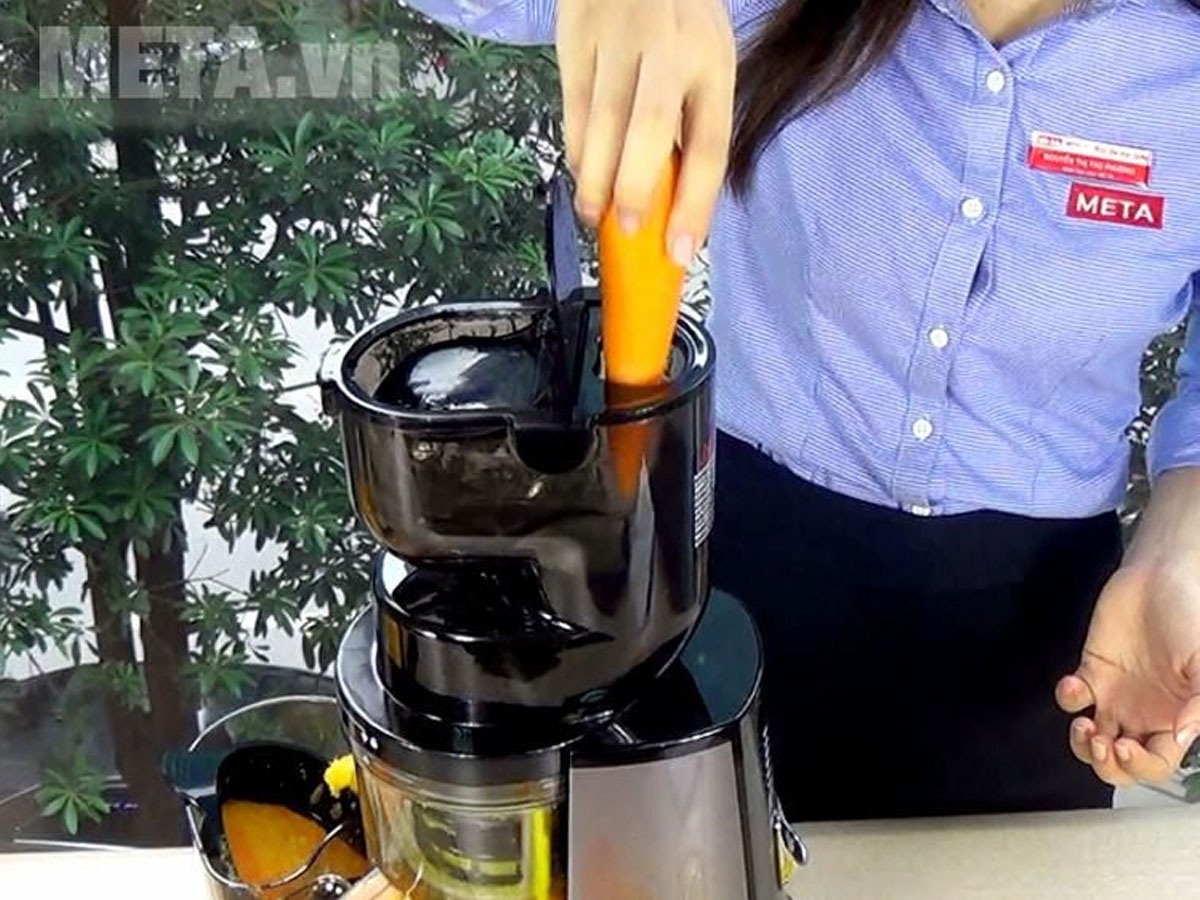 Máy ép trái cây Biochef 666