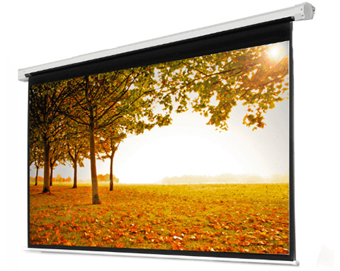 Màn chiếu điện Snowhite 96×96 inch
