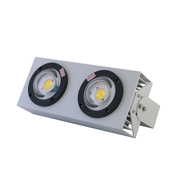 Đèn led chiếu boong Rạng Đông D CB02L/100W