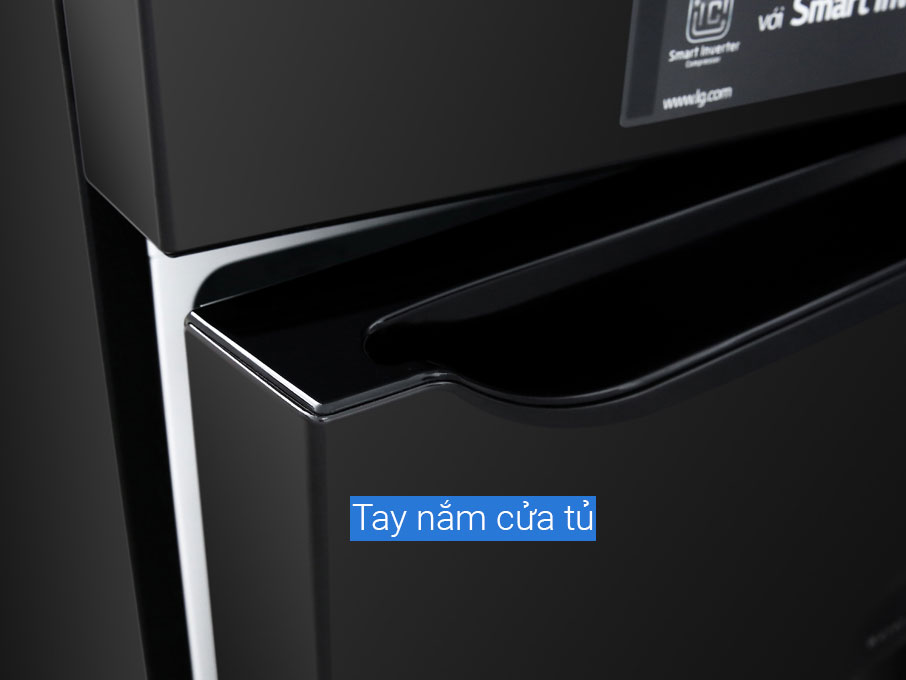 Tủ lạnh 2 cánh LG