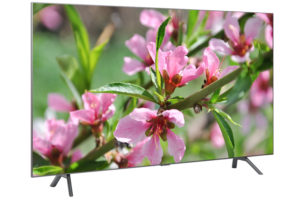 Smart Tivi Samsung QA55Q75RAKXXV