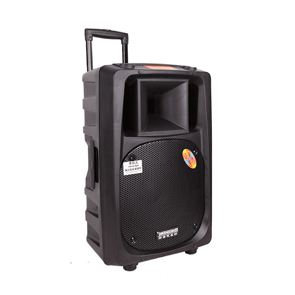 Loa di động Temeisheng 2398