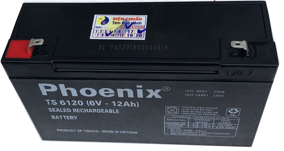 Ắc quy Phoenix TS6120