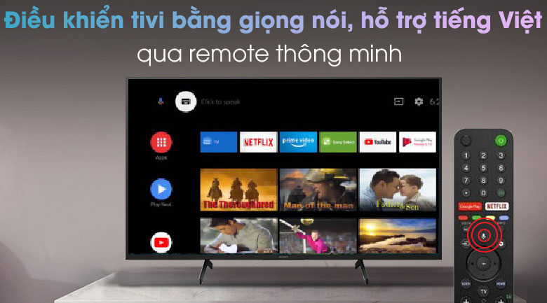 Tivi 43 inch