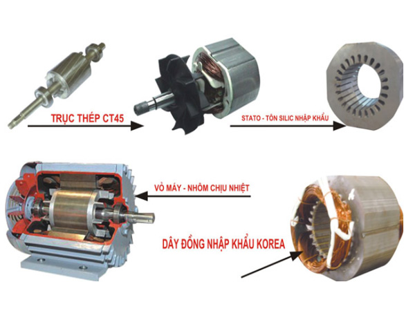 Động cơ điện 1 pha Toàn Phát 3KW 1F-Y(TP)100-4 (1.490 vòng/phút)