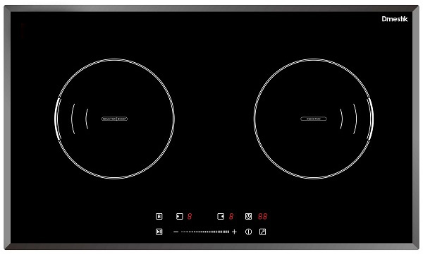 Bếp từ D'MESTIK ES01 DKI