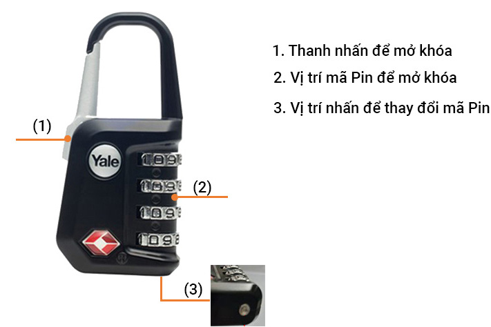 khóa du lịch Yale