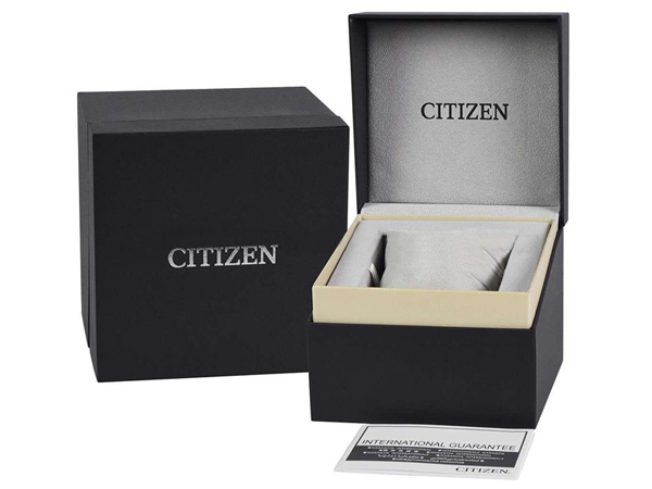 Đồng hồ Citizen BF2022-55H