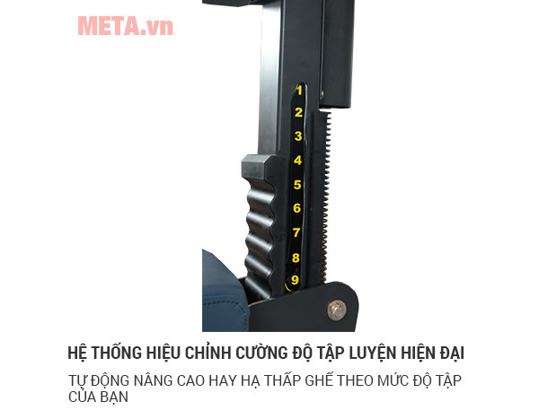Máy tập lưng trong, lưng ngoài Tiger Sport Premium TGP-450