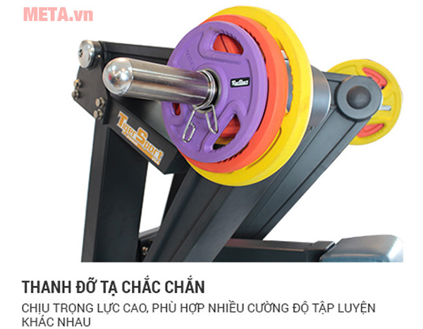 Máy tập lưng trong, lưng ngoài Tiger Sport Premium TGP-450