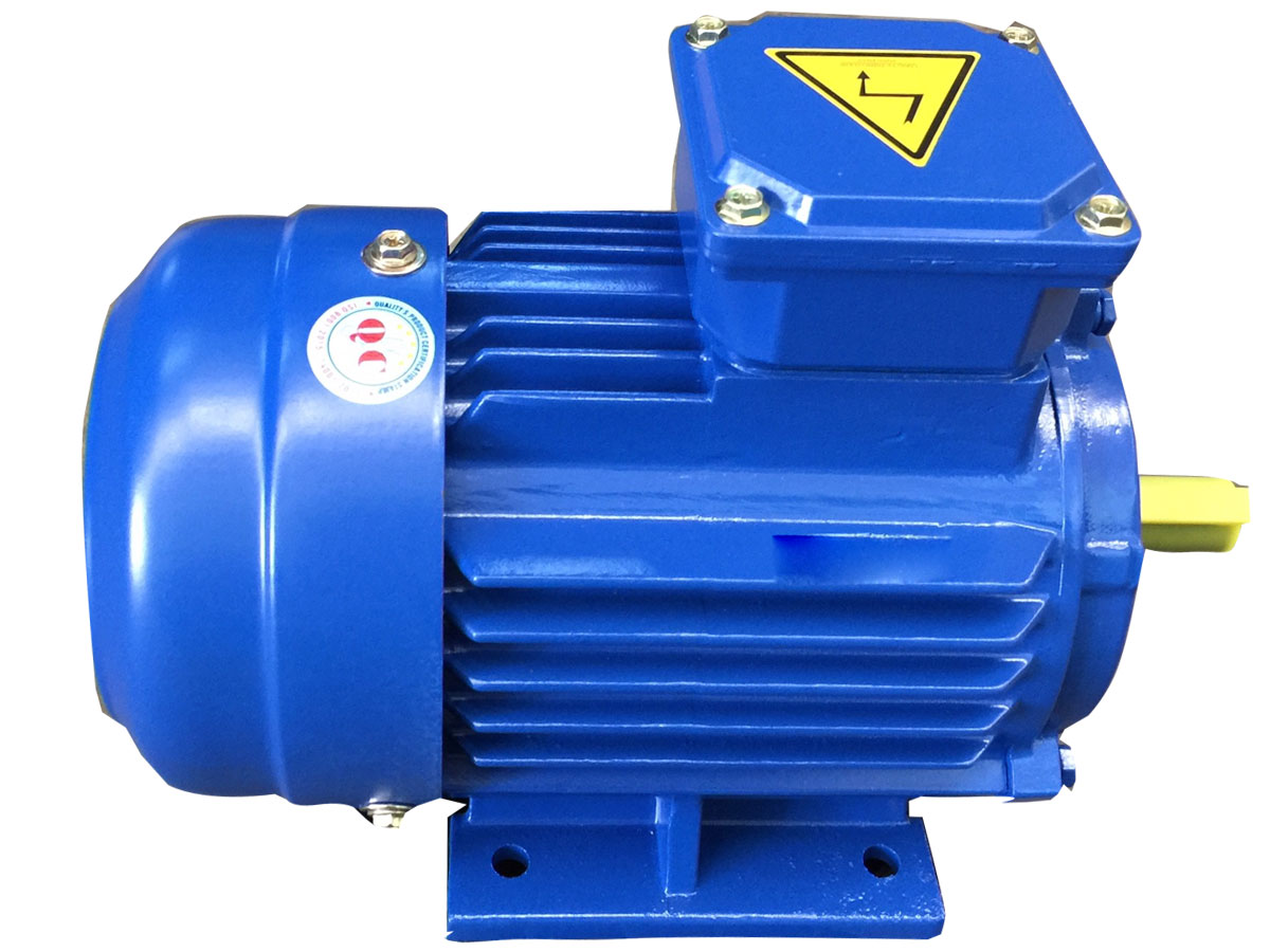 Động cơ điện 1 pha Toàn Phát 0.75kW 1F-Y80L-4.A (1490 vòng/phút)