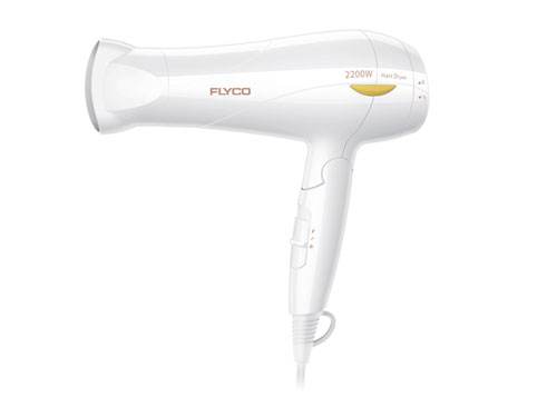 Máy sấy tóc Flyco FH1610