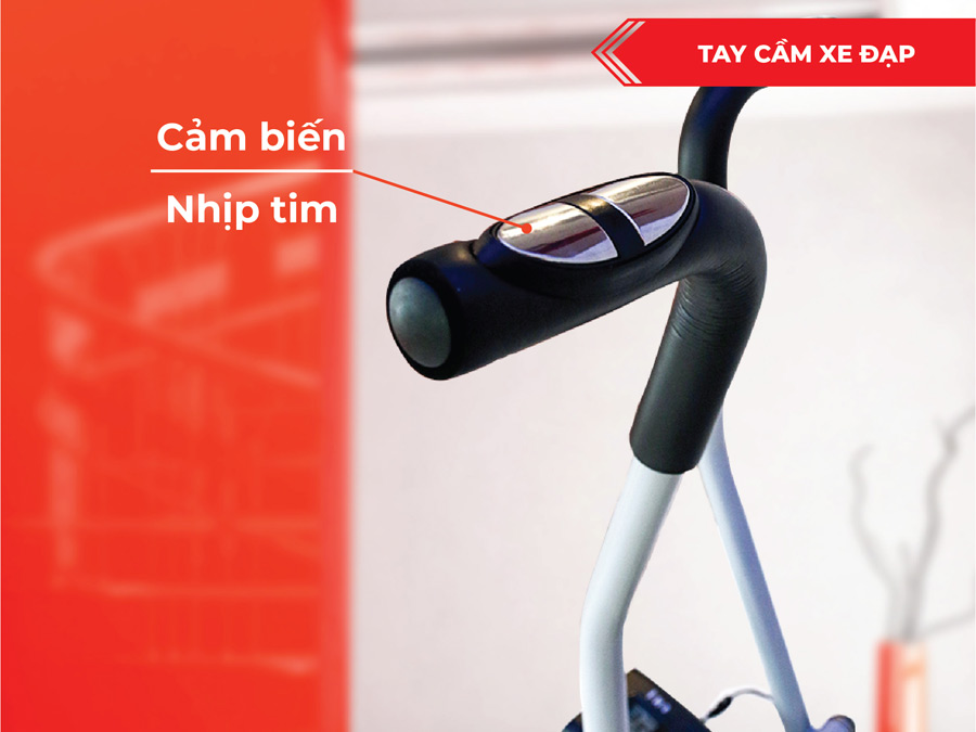 Xe đạp tập ECO