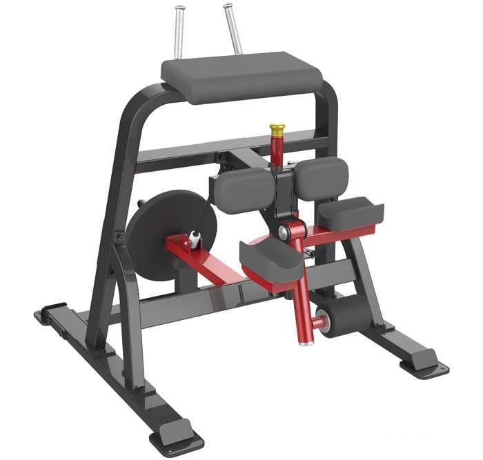 Máy móc đùi sau Impulse SL7026