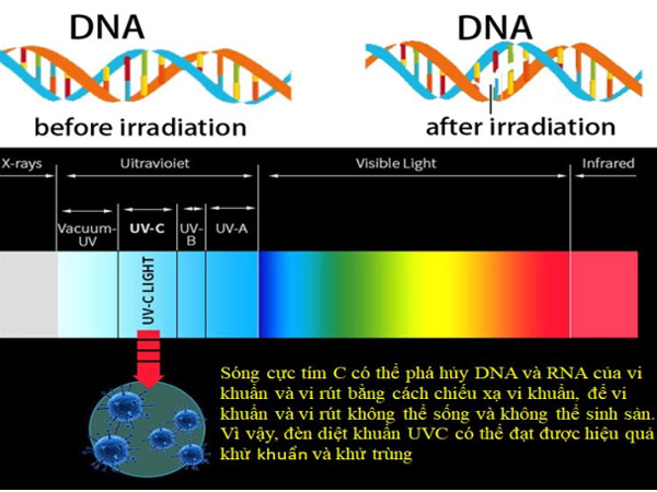 Nguyên tắc hoạt động của đèn diệt khuẩn UV