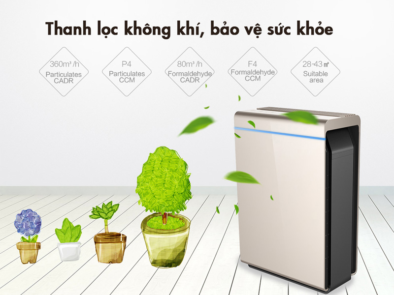 Loại bỏ các vi khuẩn, bụi bẩn có hại