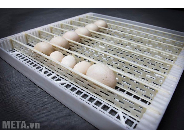 Máy ấp trứng 200 trứng CONVECTION LIC-200