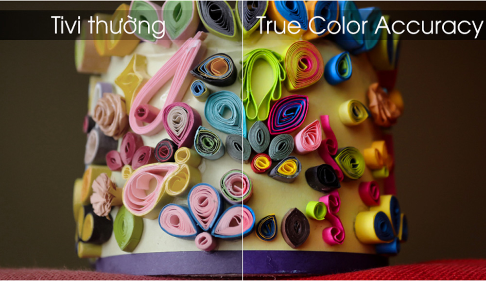 Công nghệ True Color Accuracy cho dải màu sống động