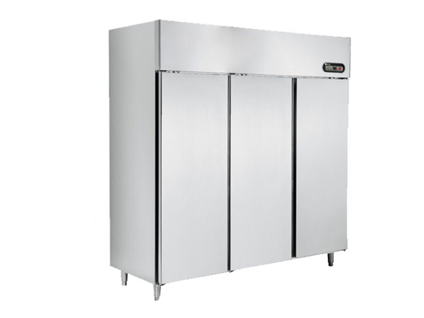 Tủ đông inox Sanaky VH-1599HP