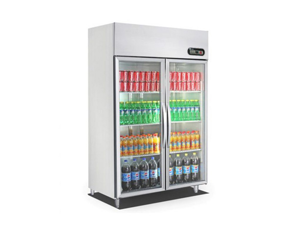 Tủ đông inox Sanaky VH-1099K