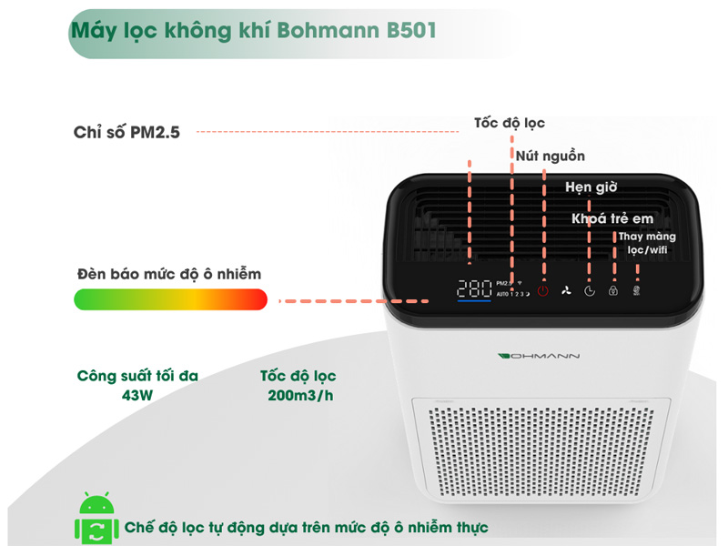 Bohmann B5.01