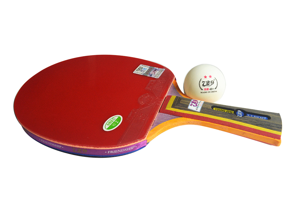 Vợt bóng bàn 729-2040S